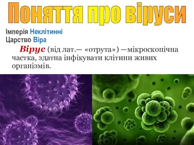 Вірус (від лат.— «отрута») —мікроскопічна частка, здатна інфікувати клітини живих організмів.