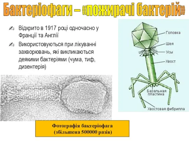 Відкрито в 1917 році одночасно у Франції та Англії Використовуються при