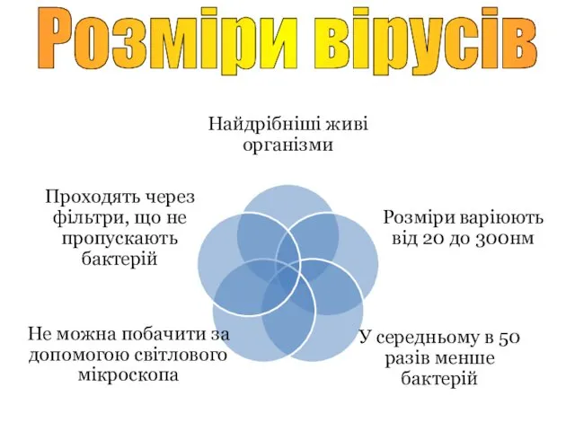 Розміри вірусів