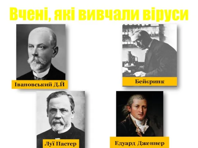 Вчені, які вивчали віруси Івановський Д.Й Бейєринк Луї Пастер Едуард Дженнер