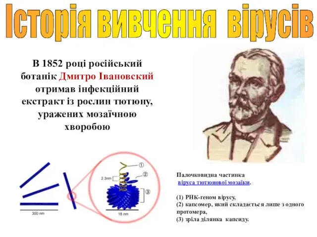 В 1852 році російський ботанік Дмитро Івановский отримав інфекційний екстракт із