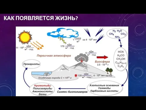 КАК ПОЯВЛЯЕТСЯ ЖИЗНЬ?