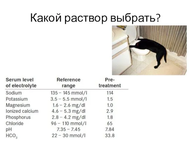 Какой раствор выбрать?