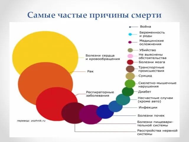 Самые частые причины смерти