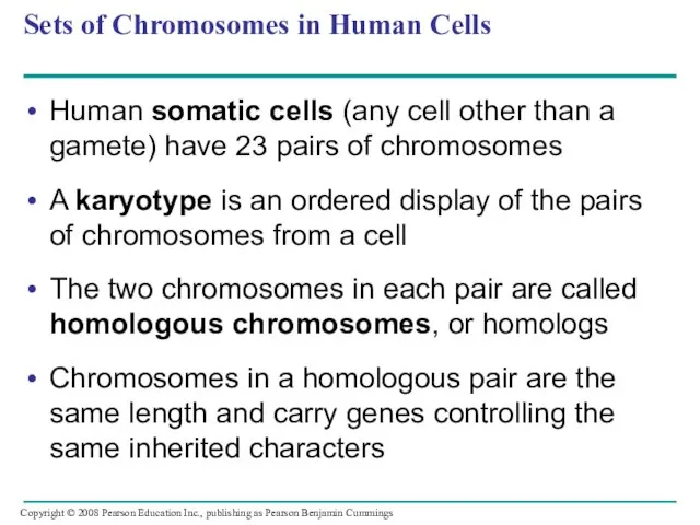 Sets of Chromosomes in Human Cells Human somatic cells (any cell