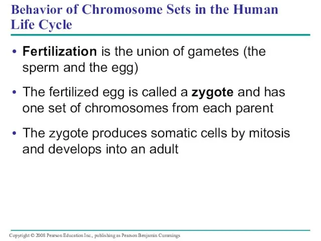 Fertilization is the union of gametes (the sperm and the egg)