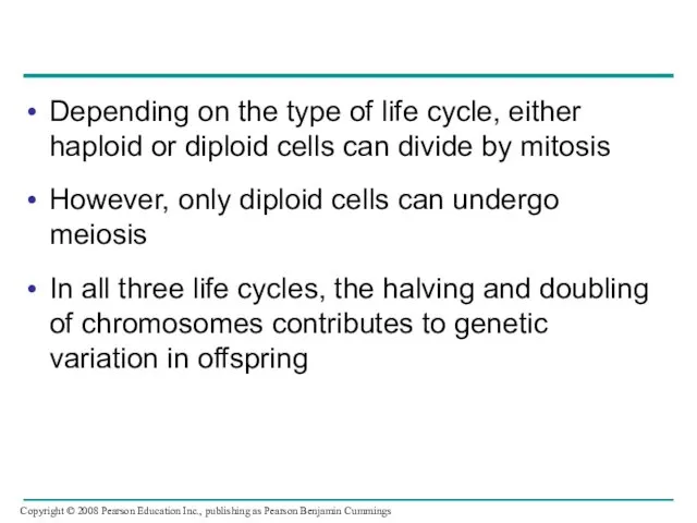 Depending on the type of life cycle, either haploid or diploid