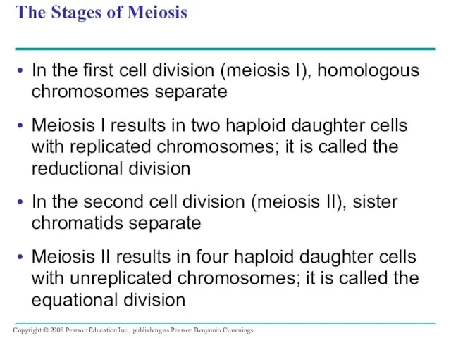 The Stages of Meiosis In the first cell division (meiosis I),