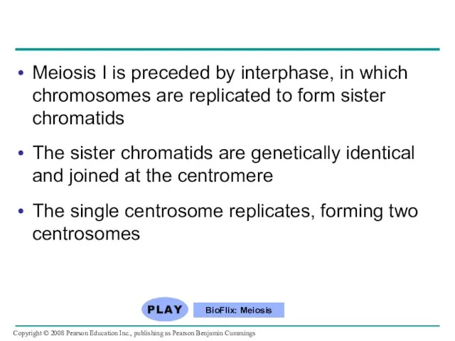 Meiosis I is preceded by interphase, in which chromosomes are replicated