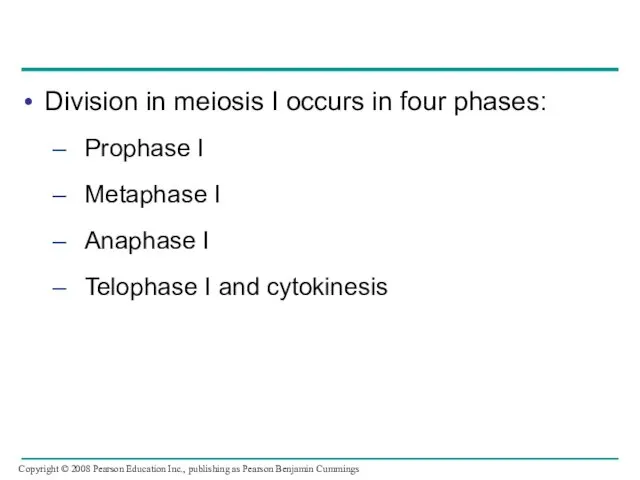 Division in meiosis I occurs in four phases: – Prophase I