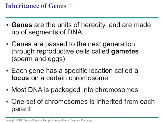 Inheritance of Genes Genes are the units of heredity, and are