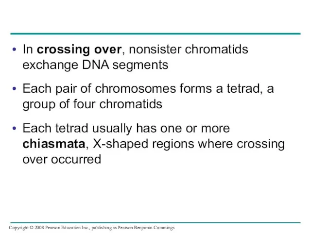 In crossing over, nonsister chromatids exchange DNA segments Each pair of