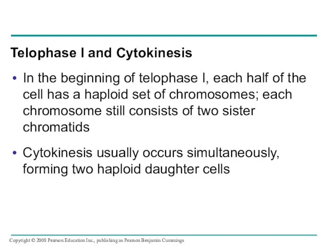 Telophase I and Cytokinesis In the beginning of telophase I, each