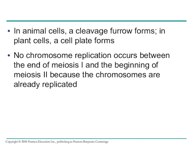 In animal cells, a cleavage furrow forms; in plant cells, a