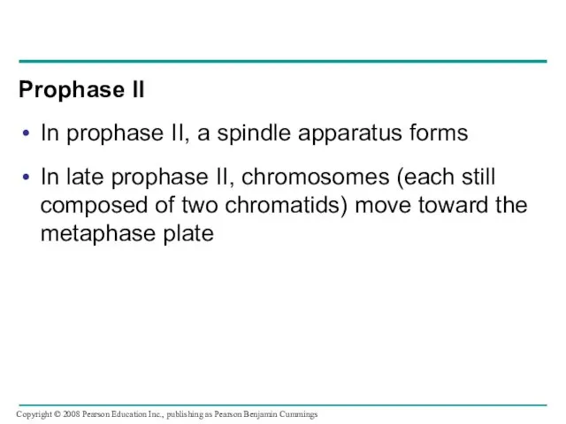 Prophase II In prophase II, a spindle apparatus forms In late