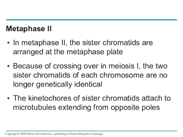 Metaphase II In metaphase II, the sister chromatids are arranged at