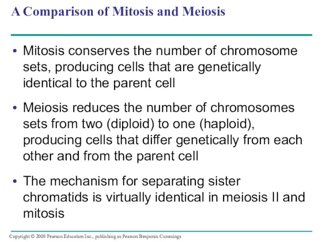 A Comparison of Mitosis and Meiosis Mitosis conserves the number of