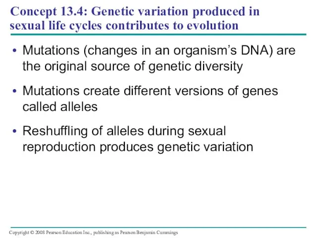 Concept 13.4: Genetic variation produced in sexual life cycles contributes to