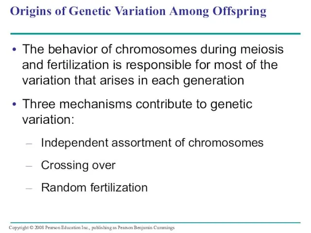 Origins of Genetic Variation Among Offspring The behavior of chromosomes during