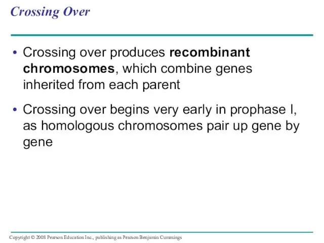 Crossing Over Crossing over produces recombinant chromosomes, which combine genes inherited