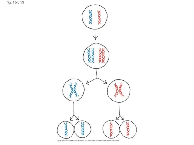 Fig. 13-UN3