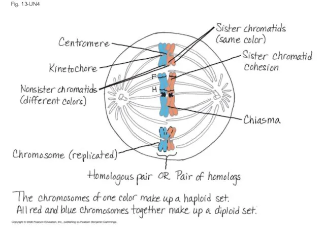 Fig. 13-UN4