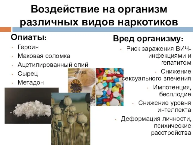 Воздействие на организм различных видов наркотиков Опиаты: Героин Маковая соломка Ацетилированный