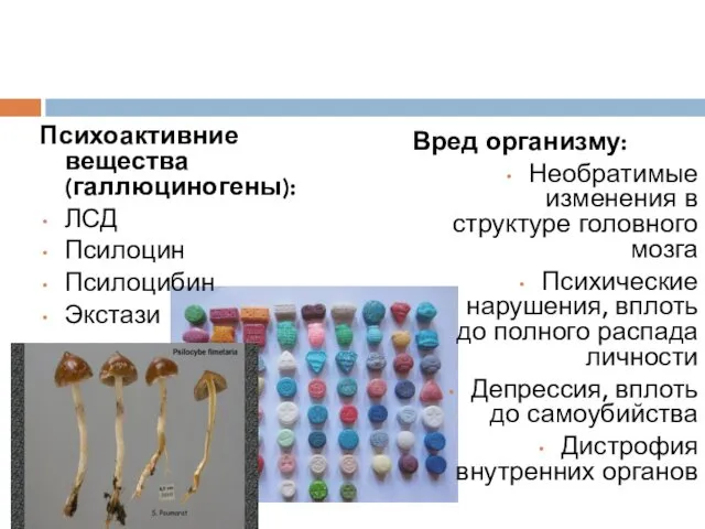 Психоактивние вещества (галлюциногены): ЛСД Псилоцин Псилоцибин Экстази Вред организму: Необратимые изменения