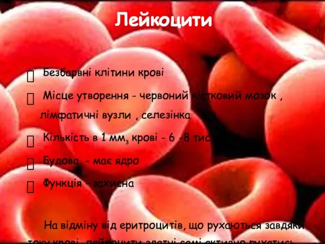 Безбарвні клітини крові Місце утворення - червоний кістковий мозок , лімфатичні