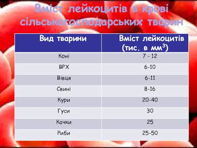 Вміст лейкоцитів в крові сільськогосподарських тварин