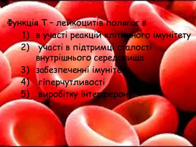 Функція Т – лейкоцитів полягає в в участі реакцій клітинного імунітету