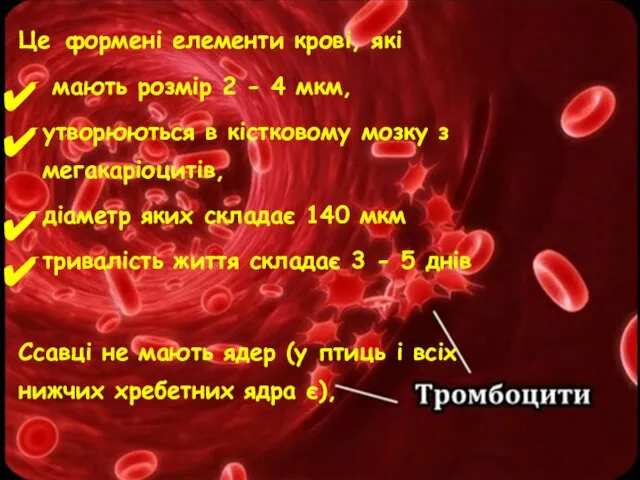 Це формені елементи крові, які мають розмір 2 - 4 мкм,