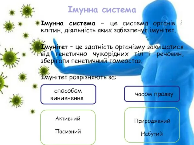 Імунна система Імунна система – це система органів і клітин, діяльність