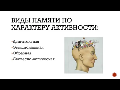 ВИДЫ ПАМЯТИ ПО ХАРАКТЕРУ АКТИВНОСТИ: Двигательная Эмоциональная Образная Словесно-логическая