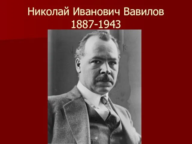 Николай Иванович Вавилов 1887-1943