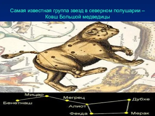 Самая известная группа звезд в северном полушарии – Ковш Большой медведицы