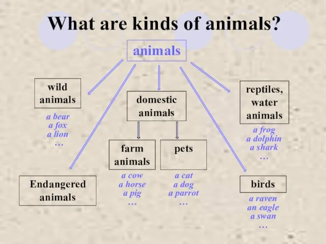 What are kinds of animals? Endangered animals birds pets farm animals