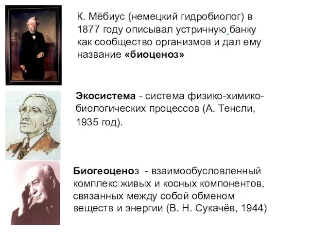 К. Мёбиус (немецкий гидробиолог) в 1877 году описывал устричную банку как