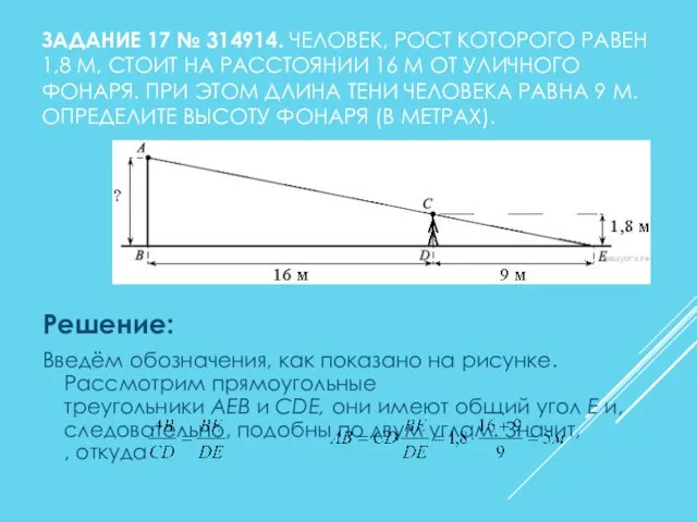 ЗАДАНИЕ 17 № 314914. ЧЕЛОВЕК, РОСТ КОТОРОГО РАВЕН 1,8 М, СТОИТ