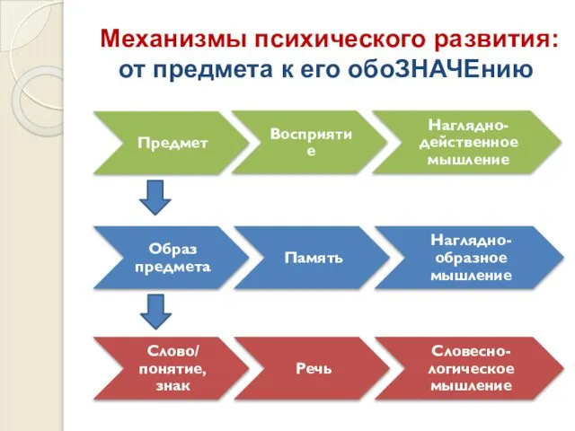 Механизмы психического развития: от предмета к его обоЗНАЧЕнию