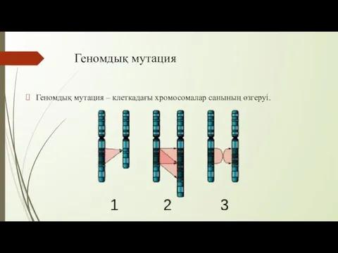 Геномдық мутация Геномдық мутация – клеткадағы хромосомалар санының өзгеруі.