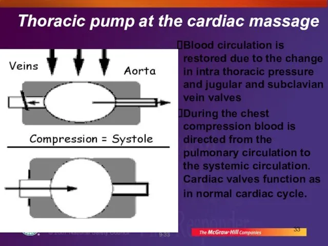 Thoracic pump at the cardiac massage Blood circulation is restored due