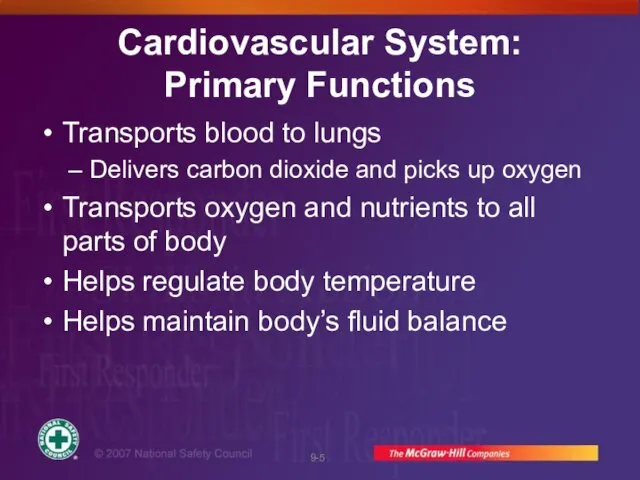 Cardiovascular System: Primary Functions Transports blood to lungs Delivers carbon dioxide