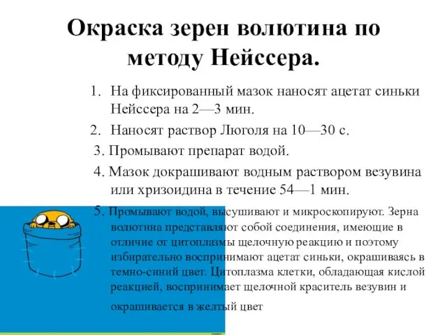 Окраска зерен волютина по методу Нейссера. На фиксированный мазок наносят ацетат