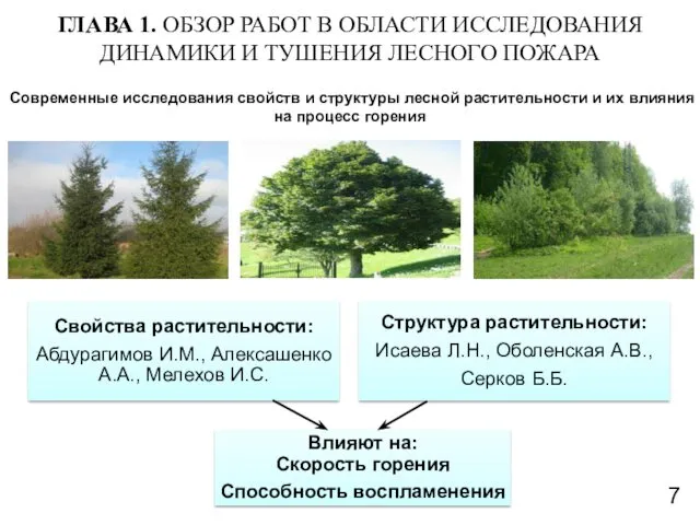 Современные исследования свойств и структуры лесной растительности и их влияния на