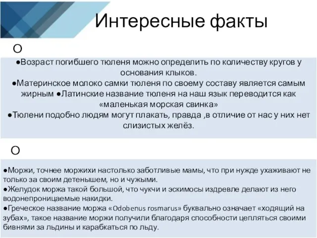 Интересные факты О тюленях ●Возраст погибшего тюленя можно определить по количеству