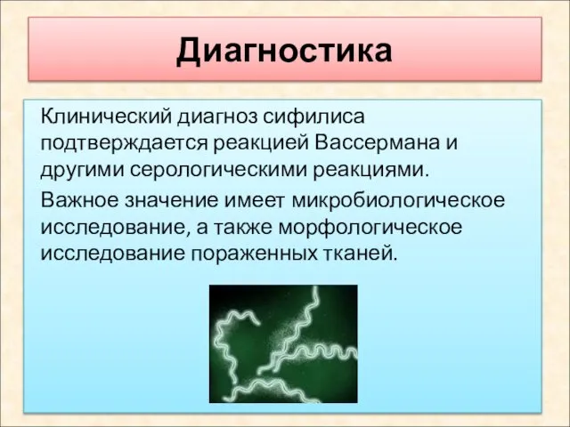 Диагностика Клинический диагноз сифилиса подтверждается реакцией Вассермана и другими серологическими реакциями.