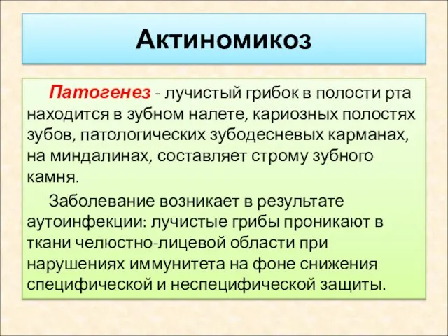 Актиномикоз Патогенез - лучистый грибок в полости рта находится в зубном