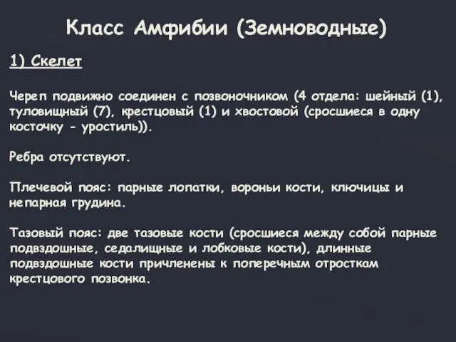 Класс Амфибии (Земноводные) 1) Скелет Череп подвижно соединен с позвоночником (4