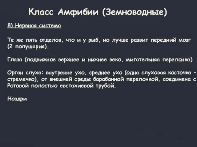 Класс Амфибии (Земноводные) 8) Нервная система Те же пять отделов, что